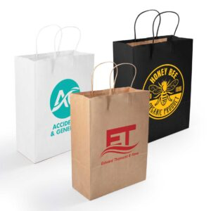 Express Paper Bags Medium