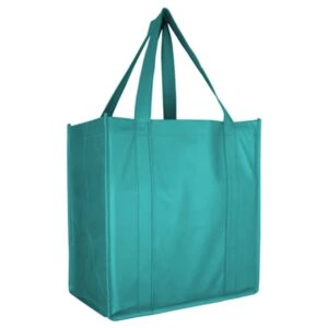 Eco Reusable Shoppers