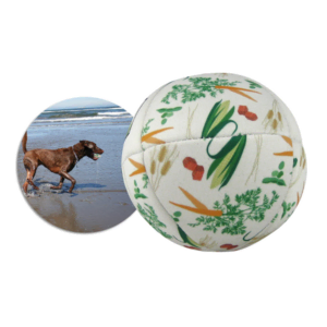 Promotional Luna Pet Ball