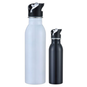 Promotional Ava Stainless Steel Bottles