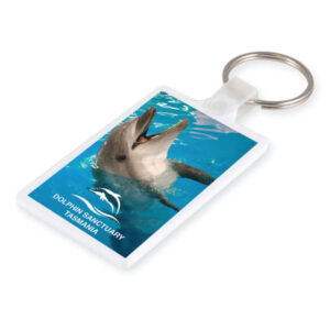 Promotional Soft PVC Keyrings